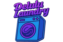 Delulu Laundry